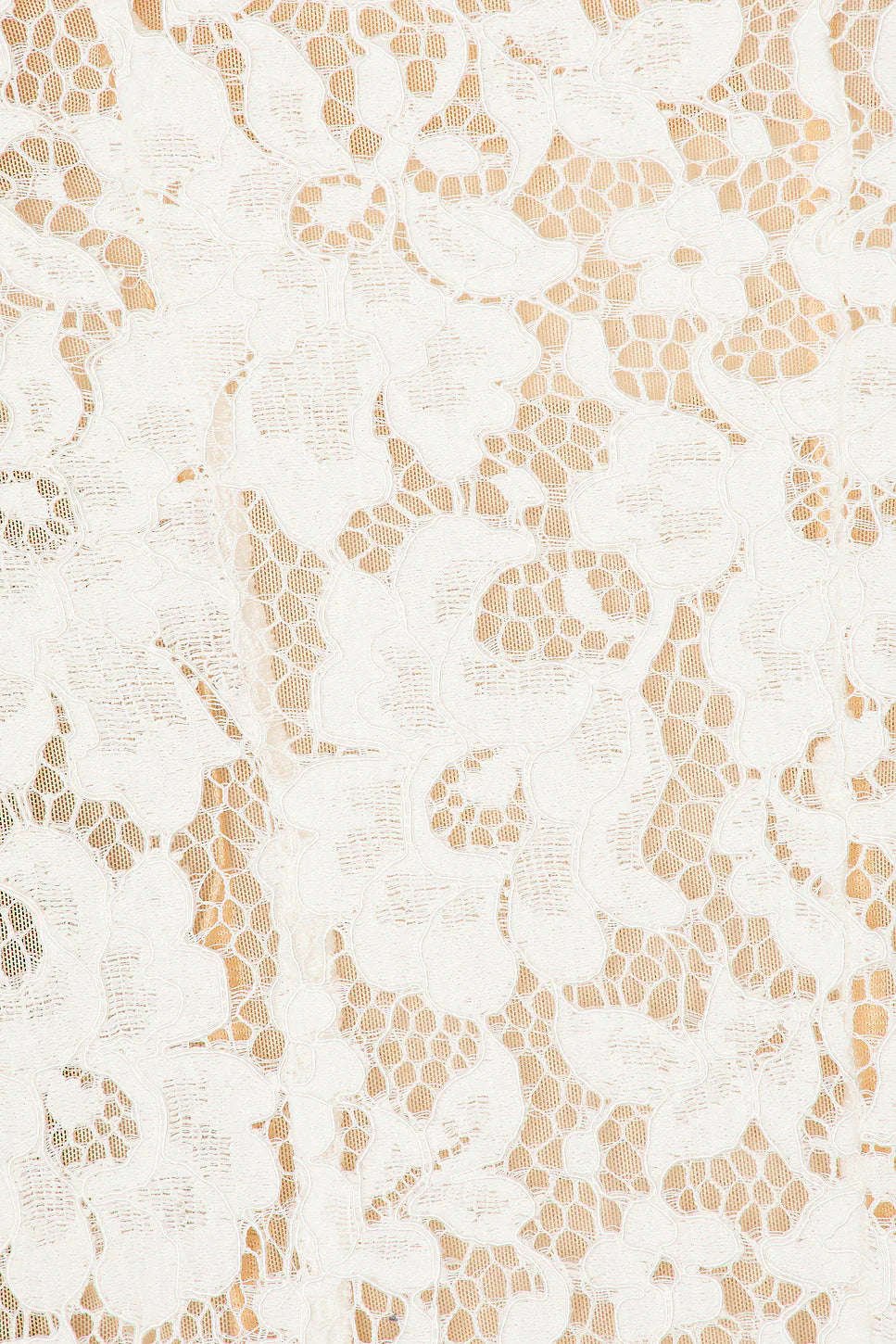 Sophia Lace Mini Dress